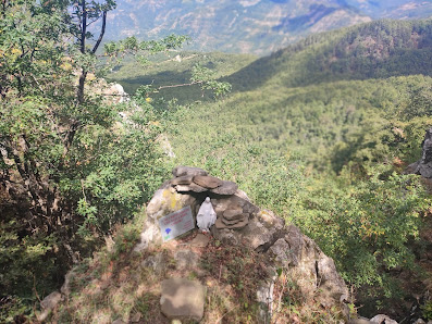 Photo 1 de Monte Falterona