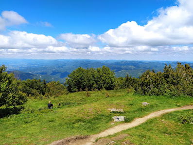 Photo 2 de Monte Falterona