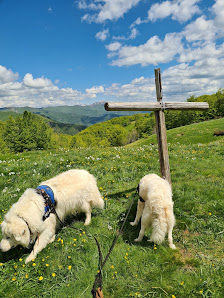 Photo 1 de Sella di Campaiana