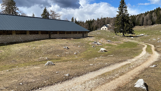 Photo 2 de Scanuppia - Malga Palazzo