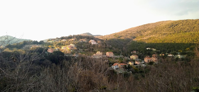 Photo 1 de Borghi