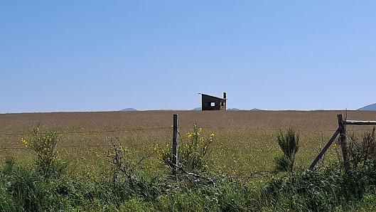 Photo 1 de A Pintinidoira (Piedrafita)