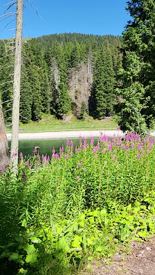 Photo 3 de Passo Furcia