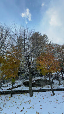 Photo 3 de San Domenico di Varzo