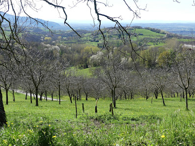Photo 2 de Saint André en Royans