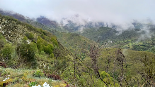 Photo 2 de Alto do Couto