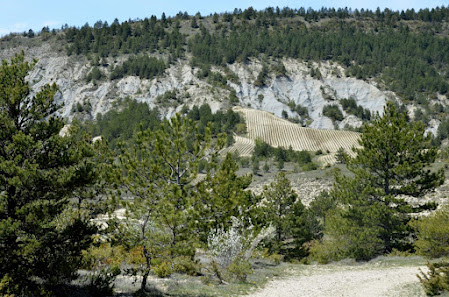 Photo 1 de Col d'Aulan