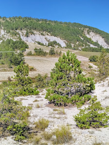 Photo 2 de Col d'Aulan