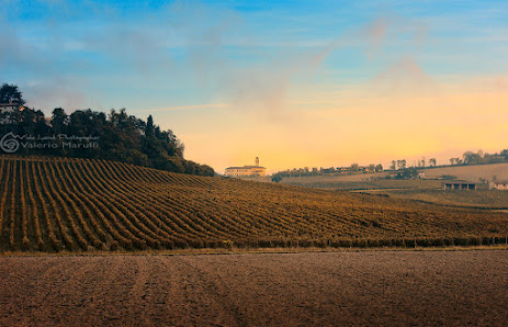 Photo 1 de Calvignano
