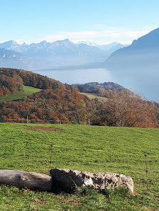 Photo 1 de Tour de Gourze