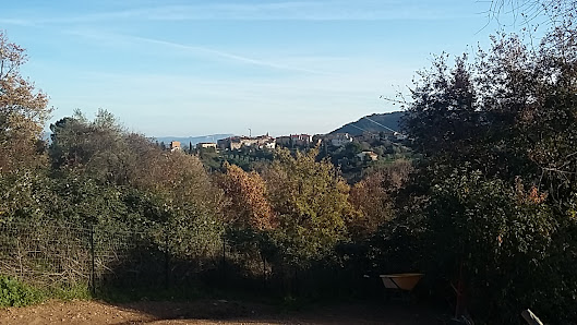 Photo 2 de Collemontanino