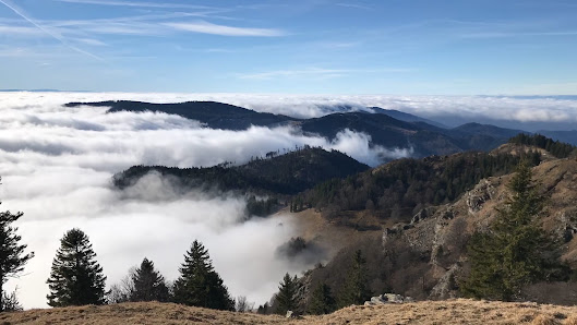 Photo 3 de Belchen