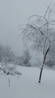 Photo 3 de Valico Serra di Mannella