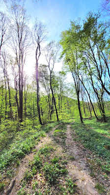Photo 1 de Dreimarkstein