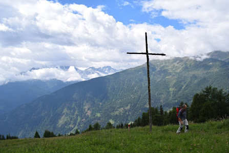 Photo 1 de Celentino