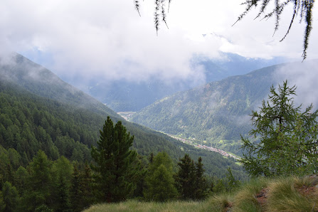 Photo 2 de Celentino