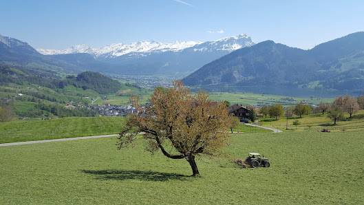 Photo 1 de Steinerberg