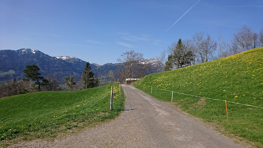 Photo 2 de Steinerberg