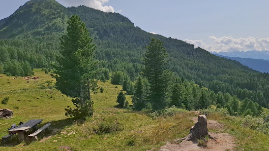 Photo 3 de Piccolo Mortirolo