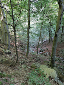Photo 1 de Bormida