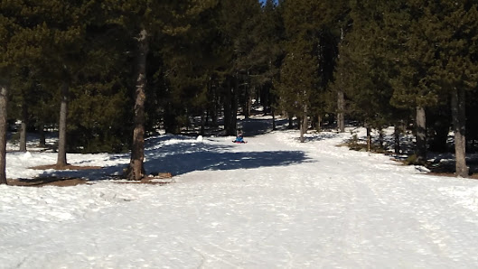 Photo 3 de Estació d'esquí Arànser