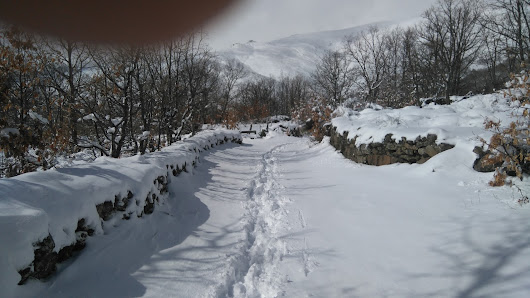 Photo 1 de La Zarza