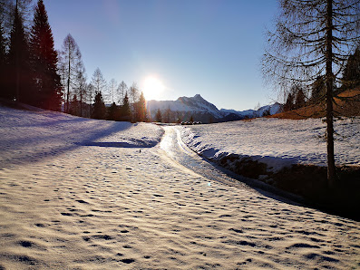 Photo 1 de Forca Frumeibn