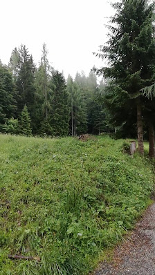 Photo 2 de Forca Frumeibn