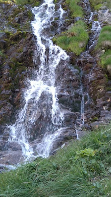 Photo 2 de Chiappera