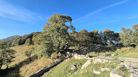 Photo 2 de Tre Faggi