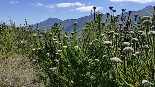 Photo 3 de Robinson Pass