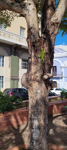 Photo 3 de San Juan
