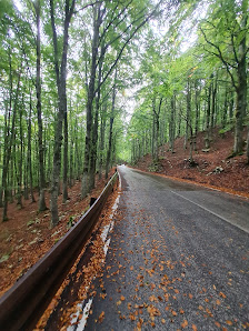 Photo 2 de Forca d'Acero