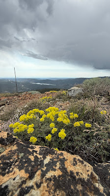 Photo 1 de Yuba Pass
