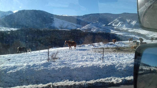 Photo 2 de Col Rigat