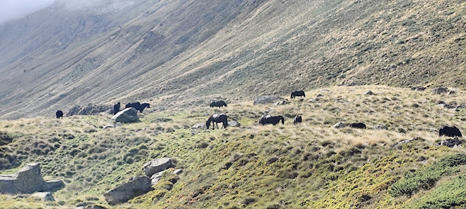 Photo 2 de Pla de Laspeyres