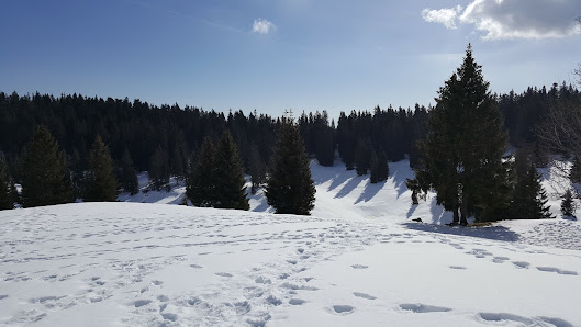 Photo 1 de Col de la Givrine