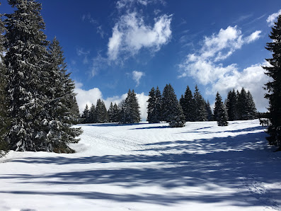Photo 2 de Col de la Givrine
