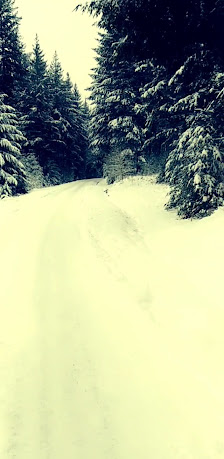 Photo 3 de Haut-Folin