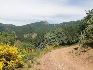 Photo 1 de Codorso