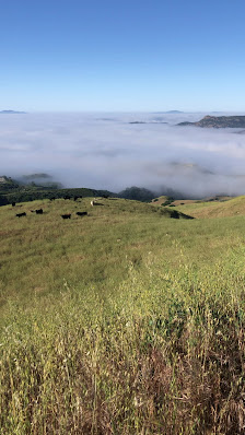 Photo 3 de Oat Mountain