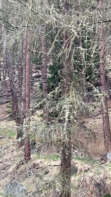 Photo 3 de Hochsölden