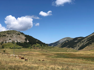 Photo 1 de Passo Godi