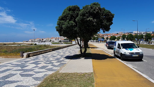 Photo 3 de Figueira