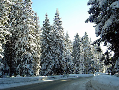 Photo 1 de Rogla