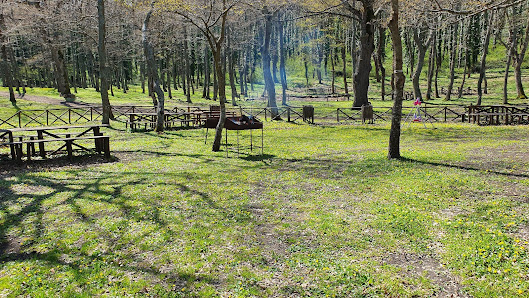 Photo 1 de Bosco Macchione