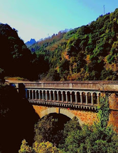 Photo 2 de Umbriatico
