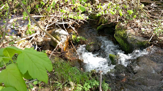 Photo 2 de Achslachberg