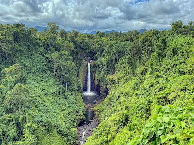 Photo 1 de Papapapaitai Falls
