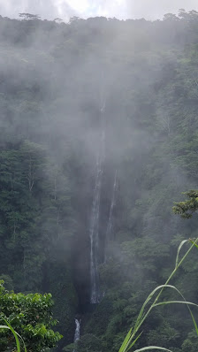 Photo 2 de Papapapaitai Falls